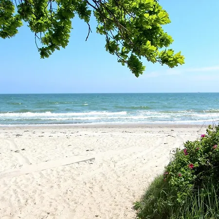 Appartamento Strandnahe Mit Terrasse, Gratis Nutzung Vom Ahoi Erlebnisbad Und Sauna In Sellin - Rex Rugia 28-2 *